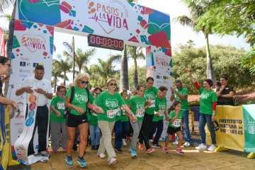  Unos 160 mayores de Telde dan un ejemplo de motivación en II carrera Pasos por la vida (Foto TA)
